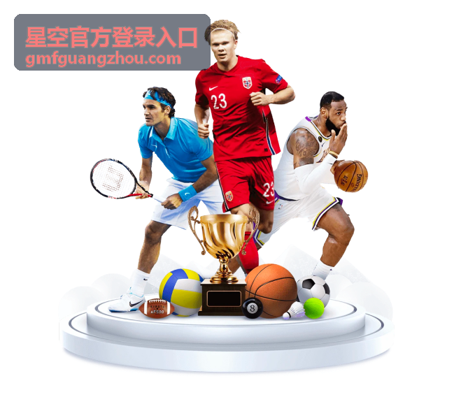 星空官方登录入口渠道开通服务的资料核对与账号配置