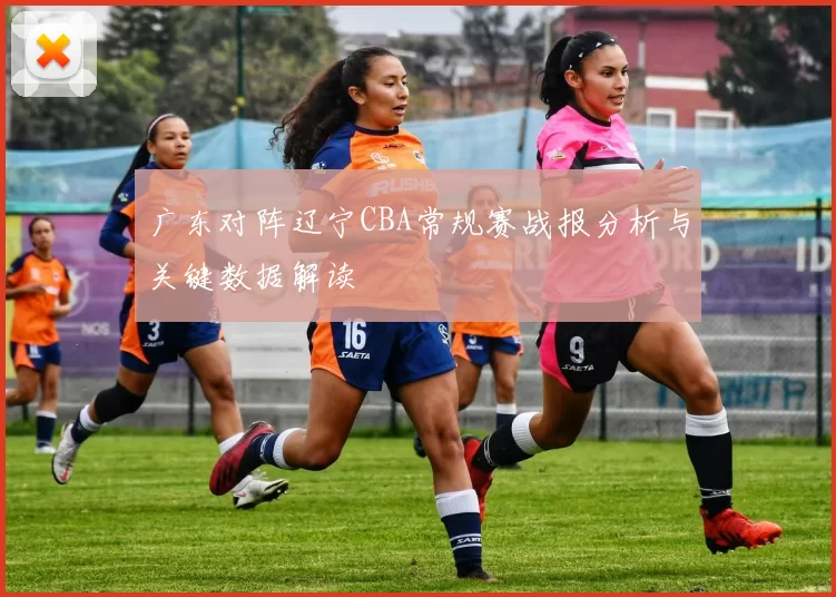 广东对阵辽宁CBA常规赛战报分析与关键数据解读