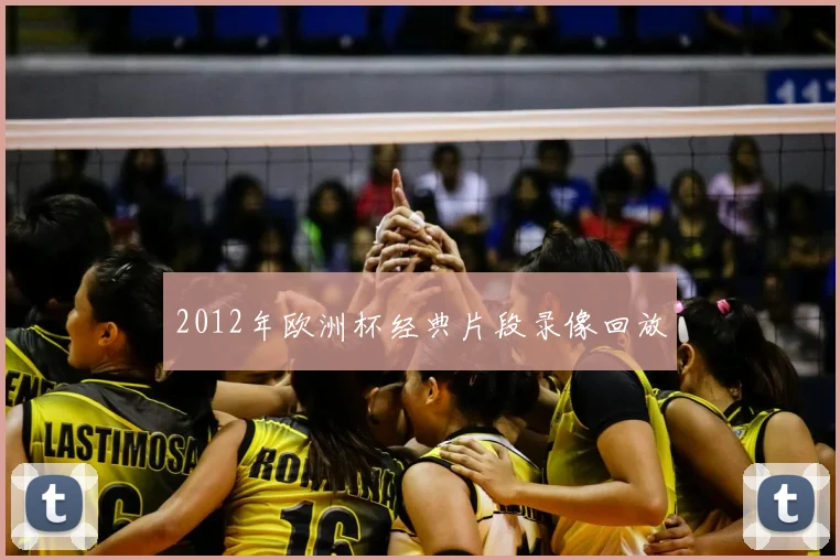 2012年欧洲杯经典片段录像回放
